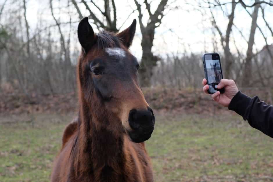 Is there a totally free IPTV app?