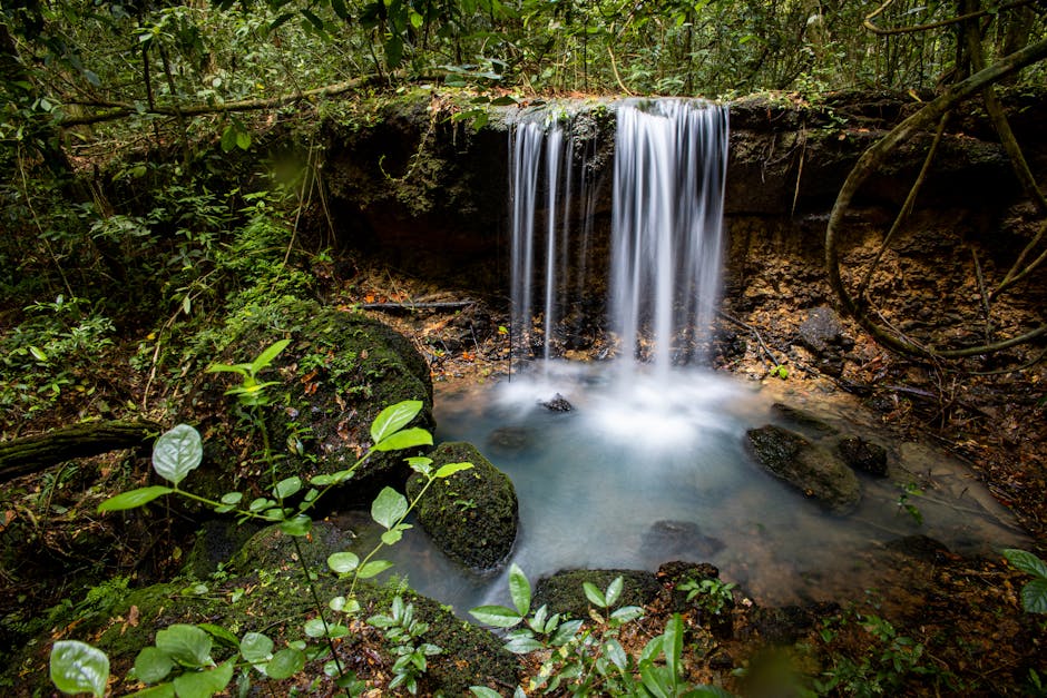 Is Streaming IPTV Legal? (NL)